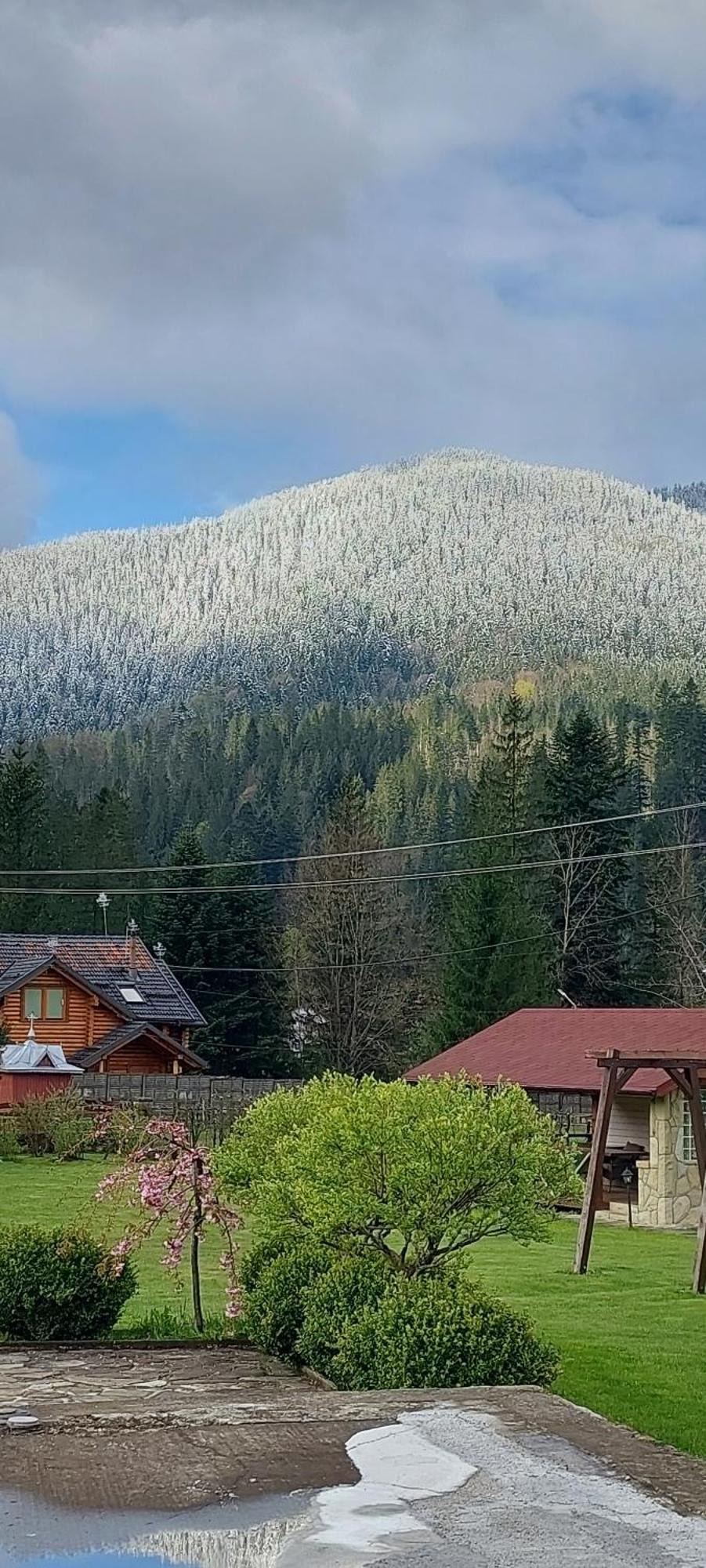 Guesthouse Kolo Druziv Tatariv Buitenkant foto