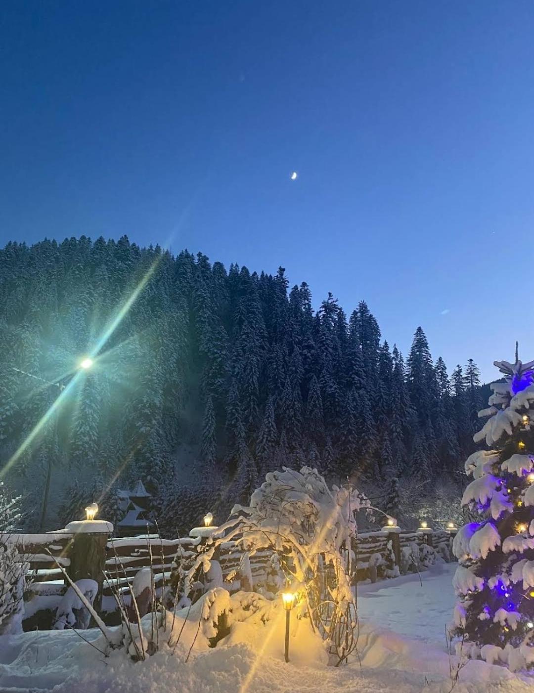 Guesthouse Kolo Druziv Tatariv Buitenkant foto