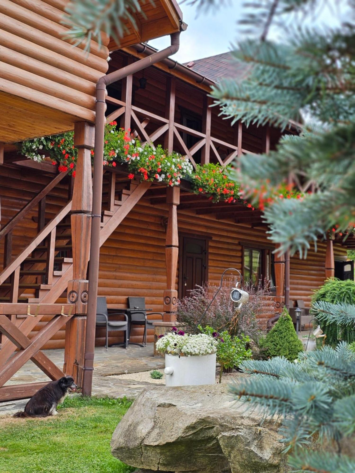 Guesthouse Kolo Druziv Tatariv Buitenkant foto